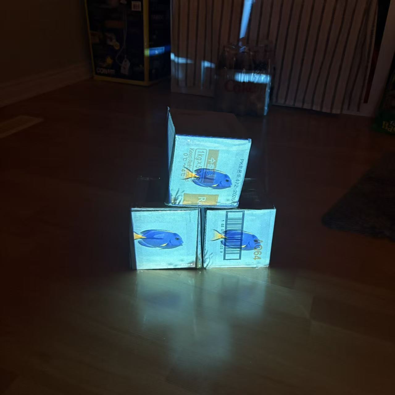 Testing three small fish with understanding—quite intriguing.